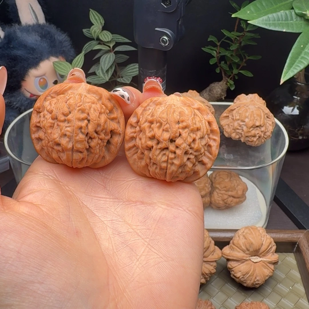 把件龙脊菩提全品头货原树莲花39