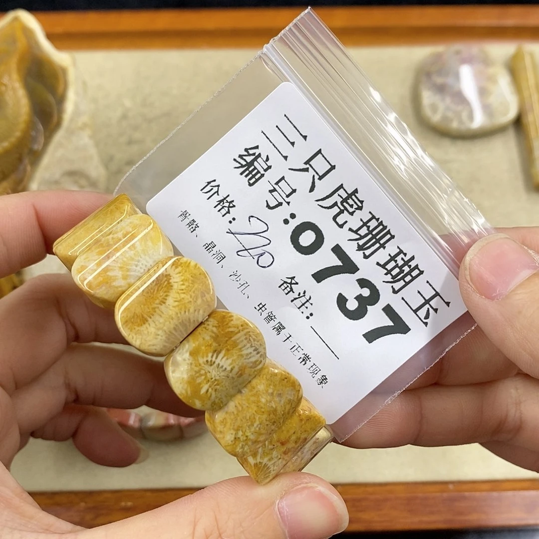 硅化珊瑚（珊瑚玉）1未镶嵌霄**乖