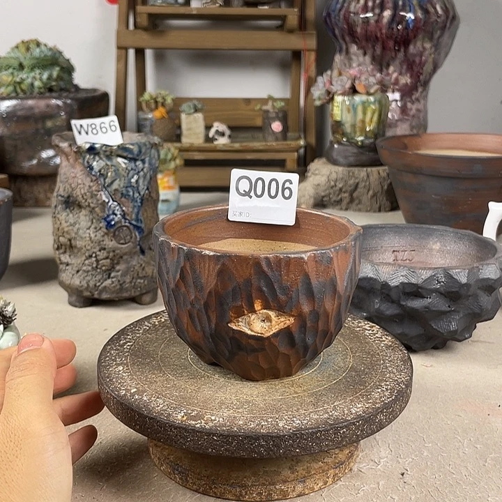 孤品球盆 块根盆 内口9 .5百搭