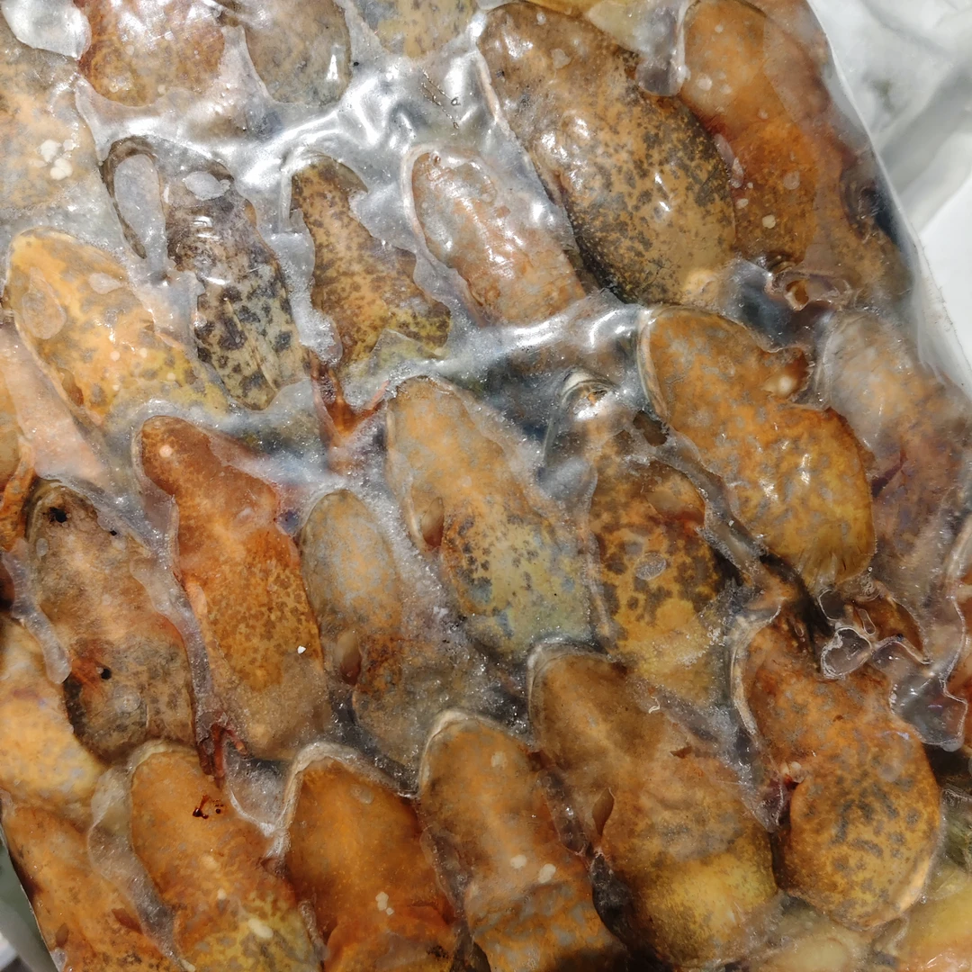 东北特产黑龙江去油带籽母豹子