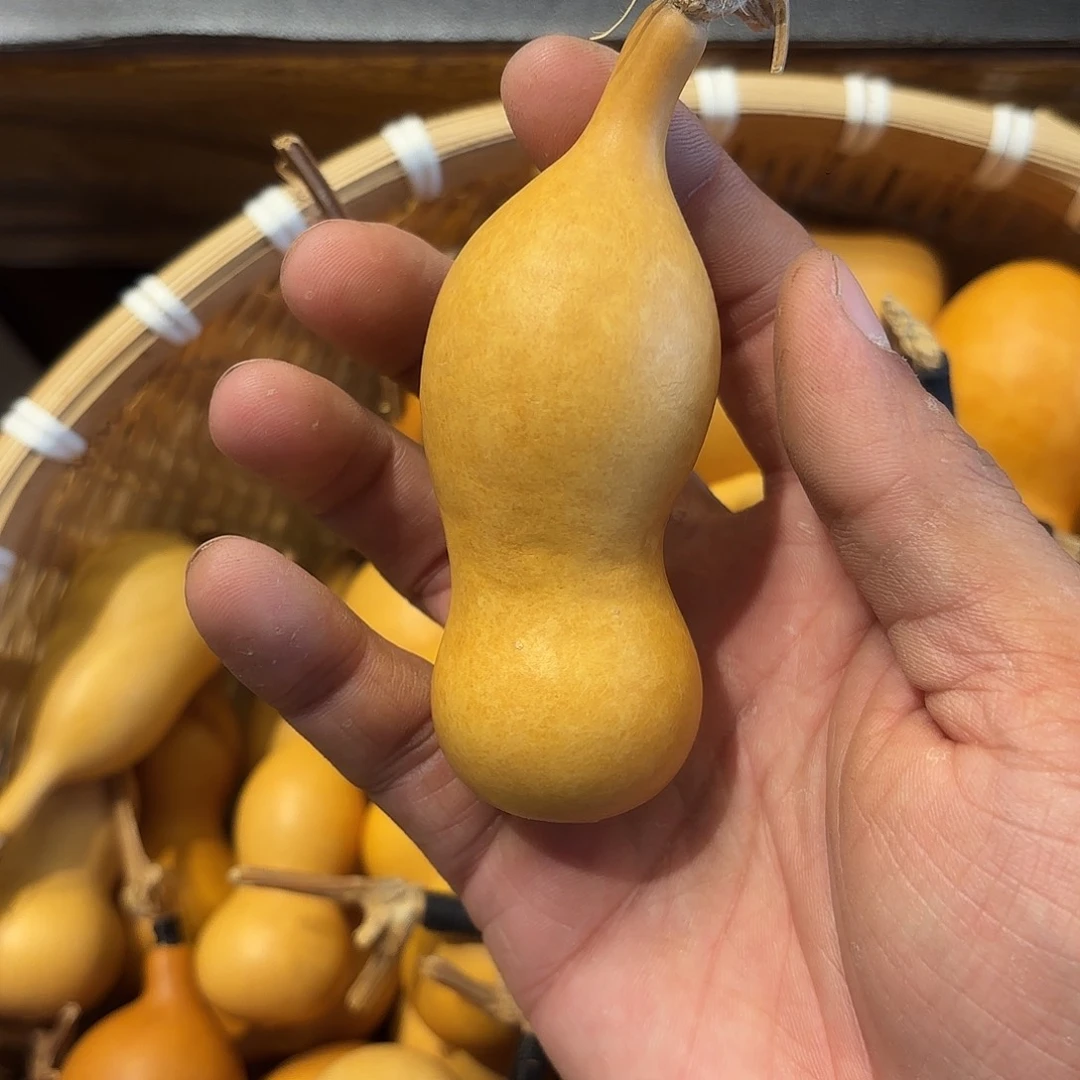 云***辰葫芦1111111111111111