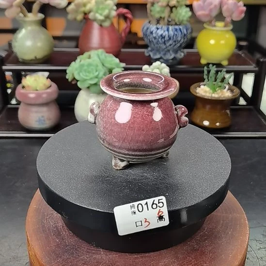 多肉拇指花盆编号0165