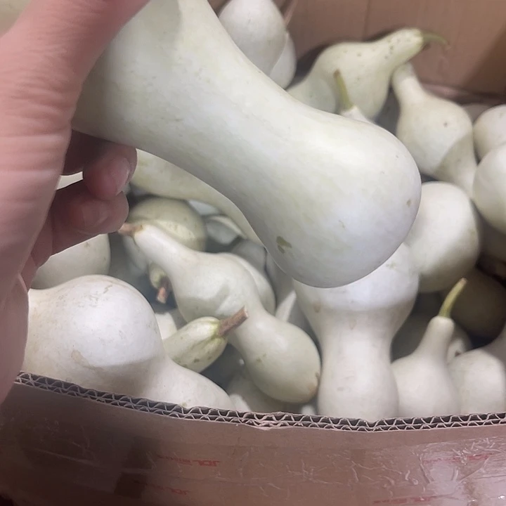 非洲紫檀（红花梨）老*