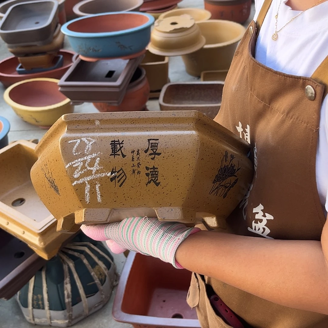 紫砂花盆盆景艺术