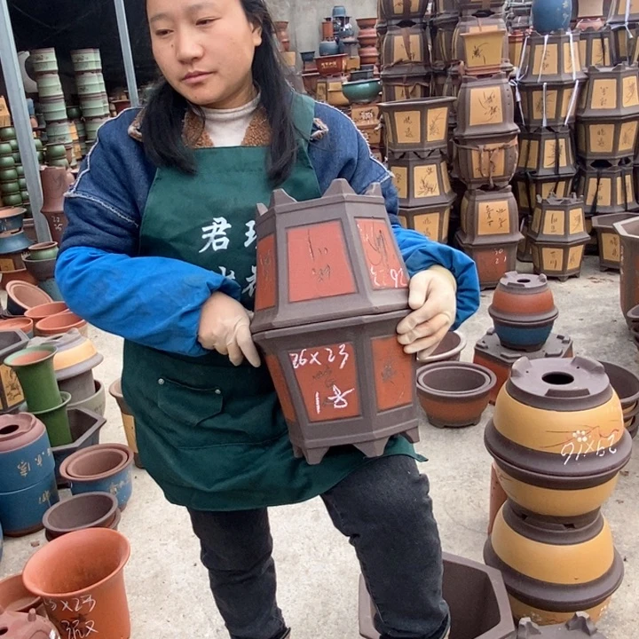 紫砂花盆盆栽花卉苗木种植