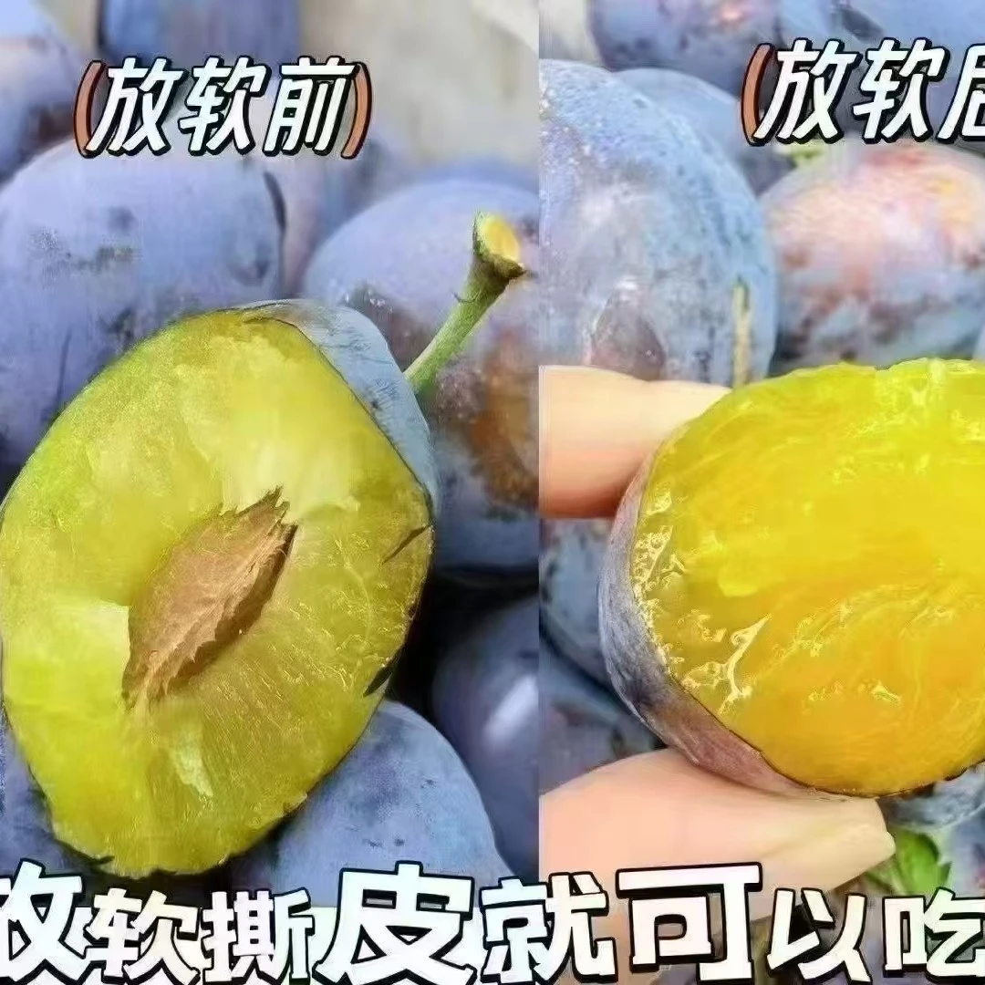 汶川高山蓝蜜西梅，放软后再吃，软糯香甜