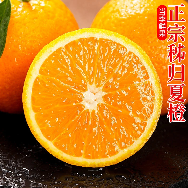 夏橙新鲜当季时令水果整箱包邮手剥酸甜三峡橙子榨汁专用解渴