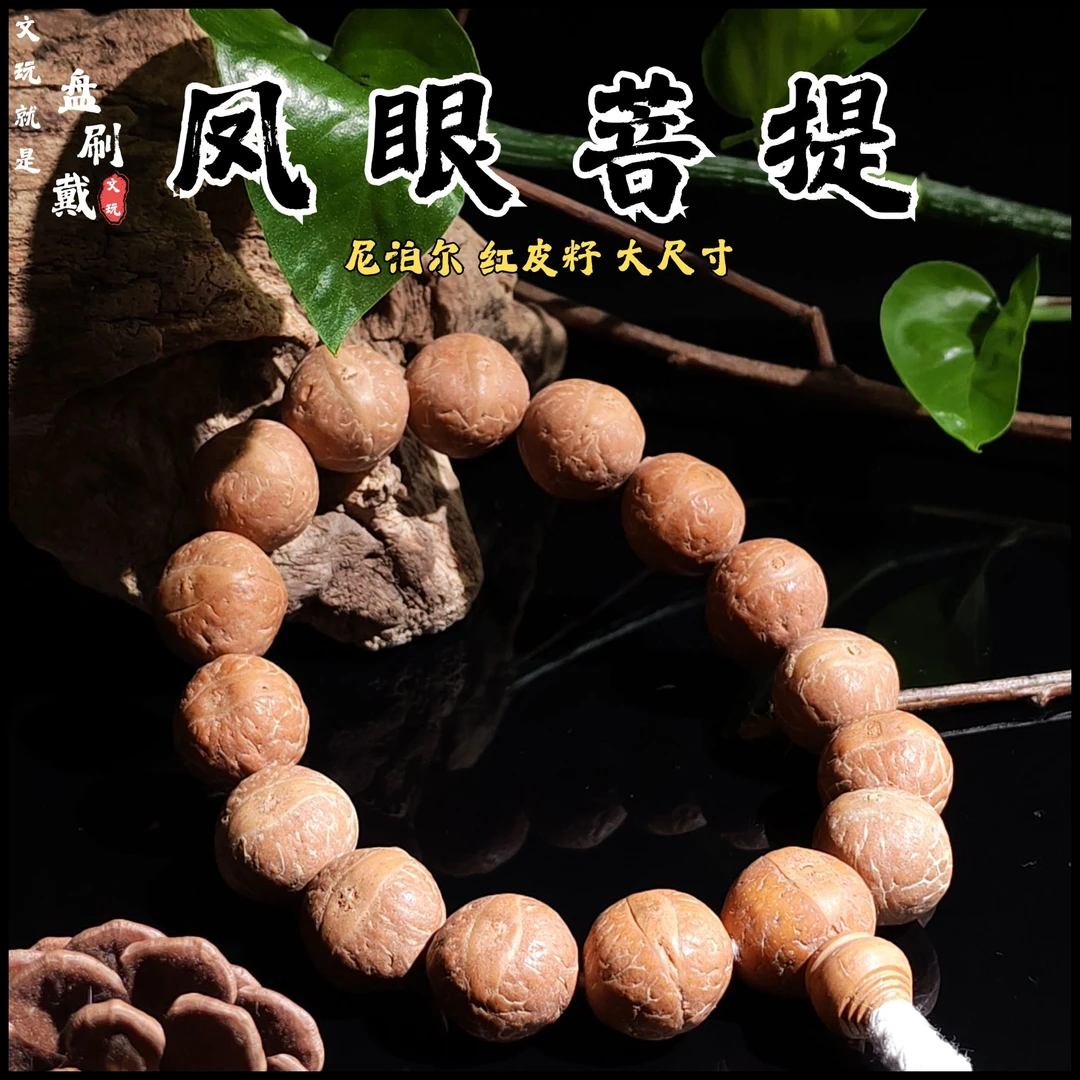 尼泊尔凤眼菩提手串手持念珠红皮籽大尺寸厚皮壳13mm-17mm