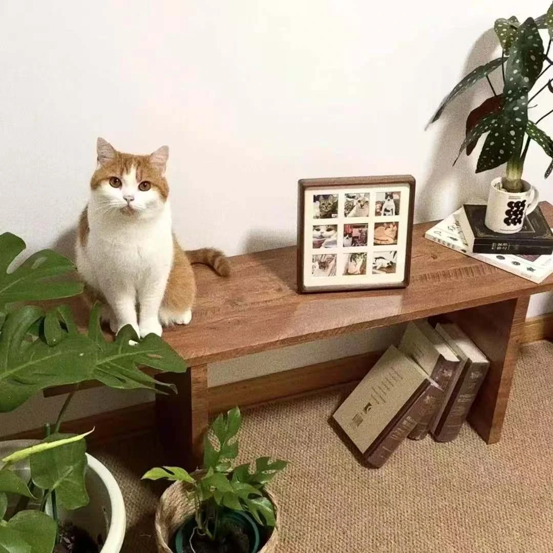 宠物相册，宠物相册