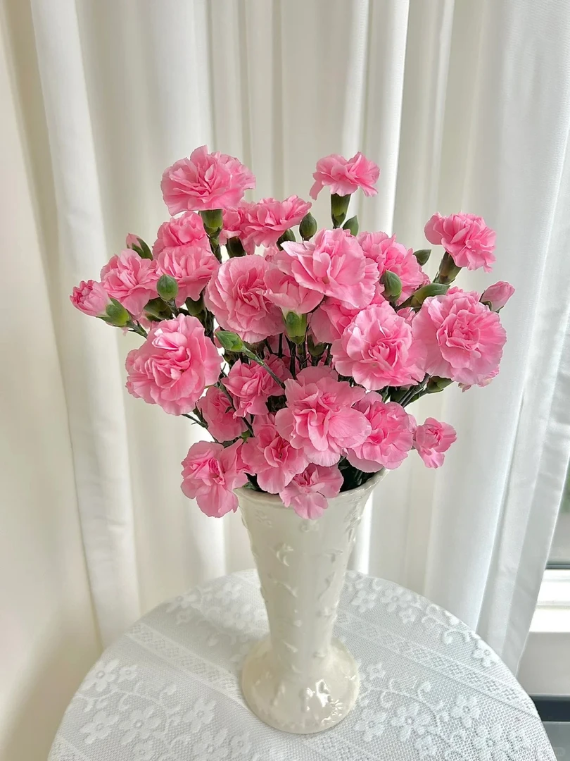 （曼曼）多头康乃馨珍珠粉15支+5支防损  鲜花任意2单包邮