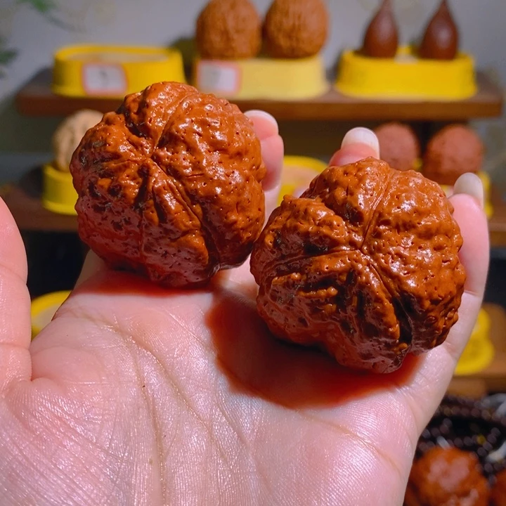 野生矮桩南瓜金刚45