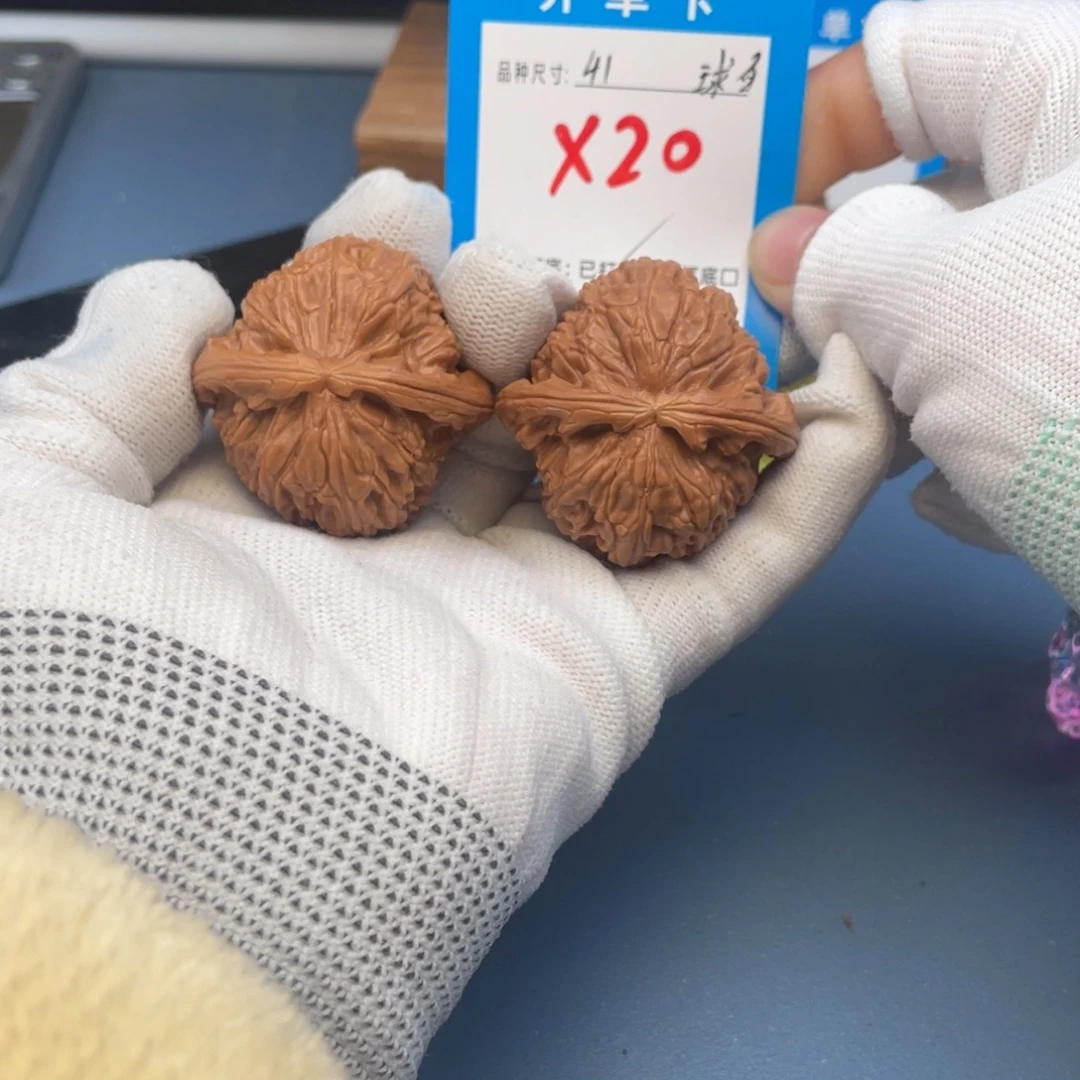 核桃文玩核桃白狮子