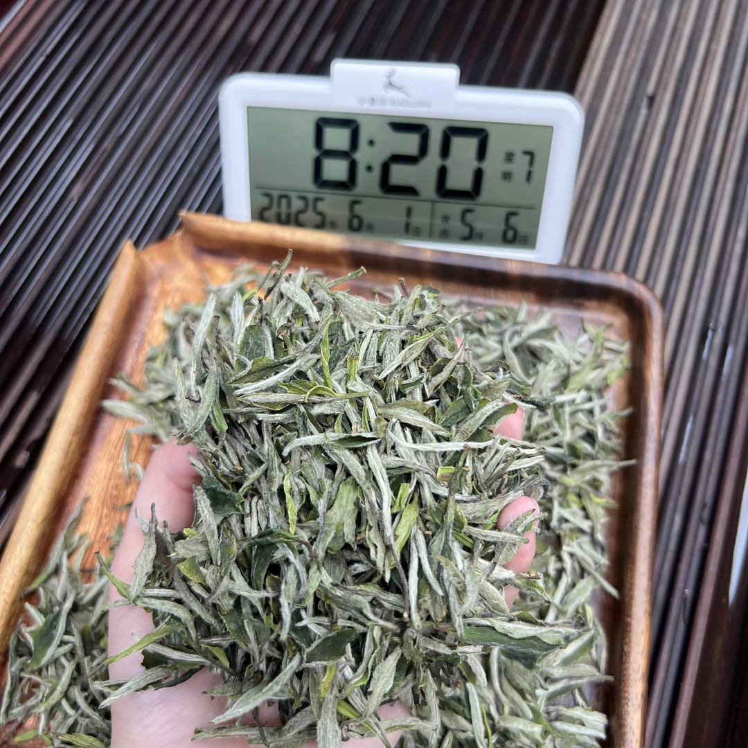 2025牡丹王 ① 小鹿收茶 福鼎白茶 6月1日