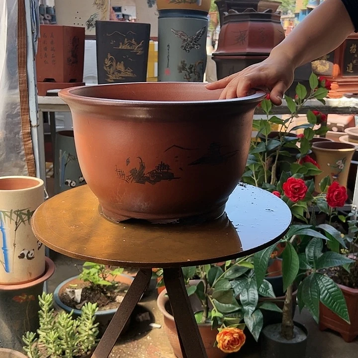 35紫气东来花盆花盆花盆