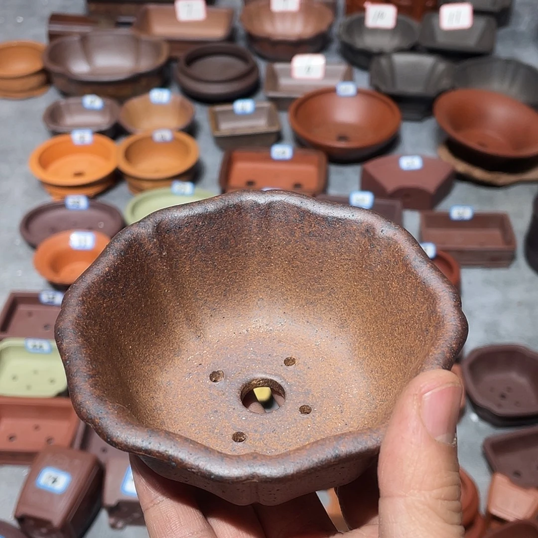 紫砂紫砂小盆10*4