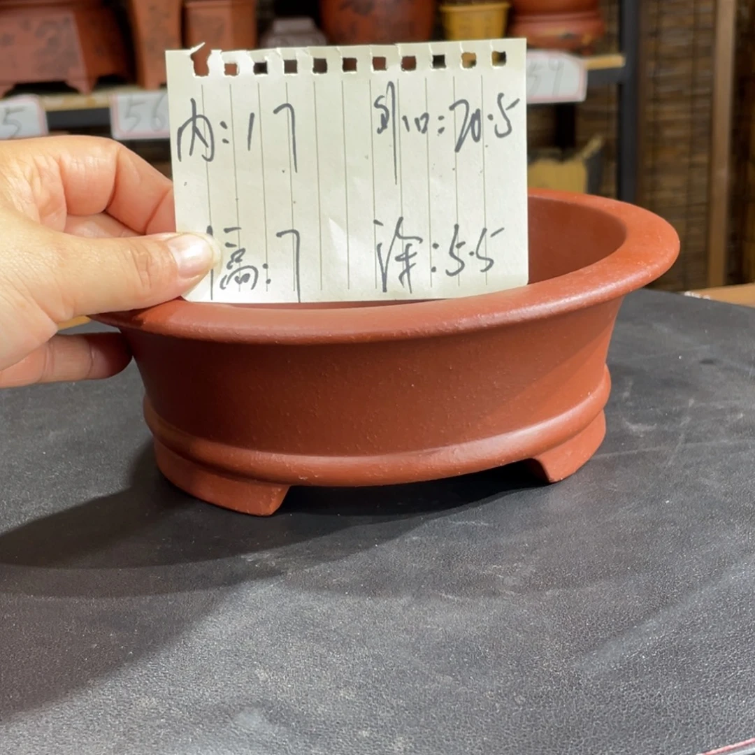 紫砂花盆紫砂花盆在这里