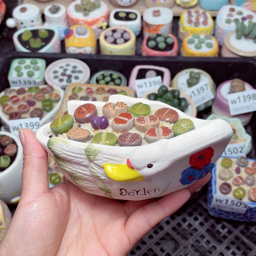 w1508 零下地区拍保温箱-15支持寄养