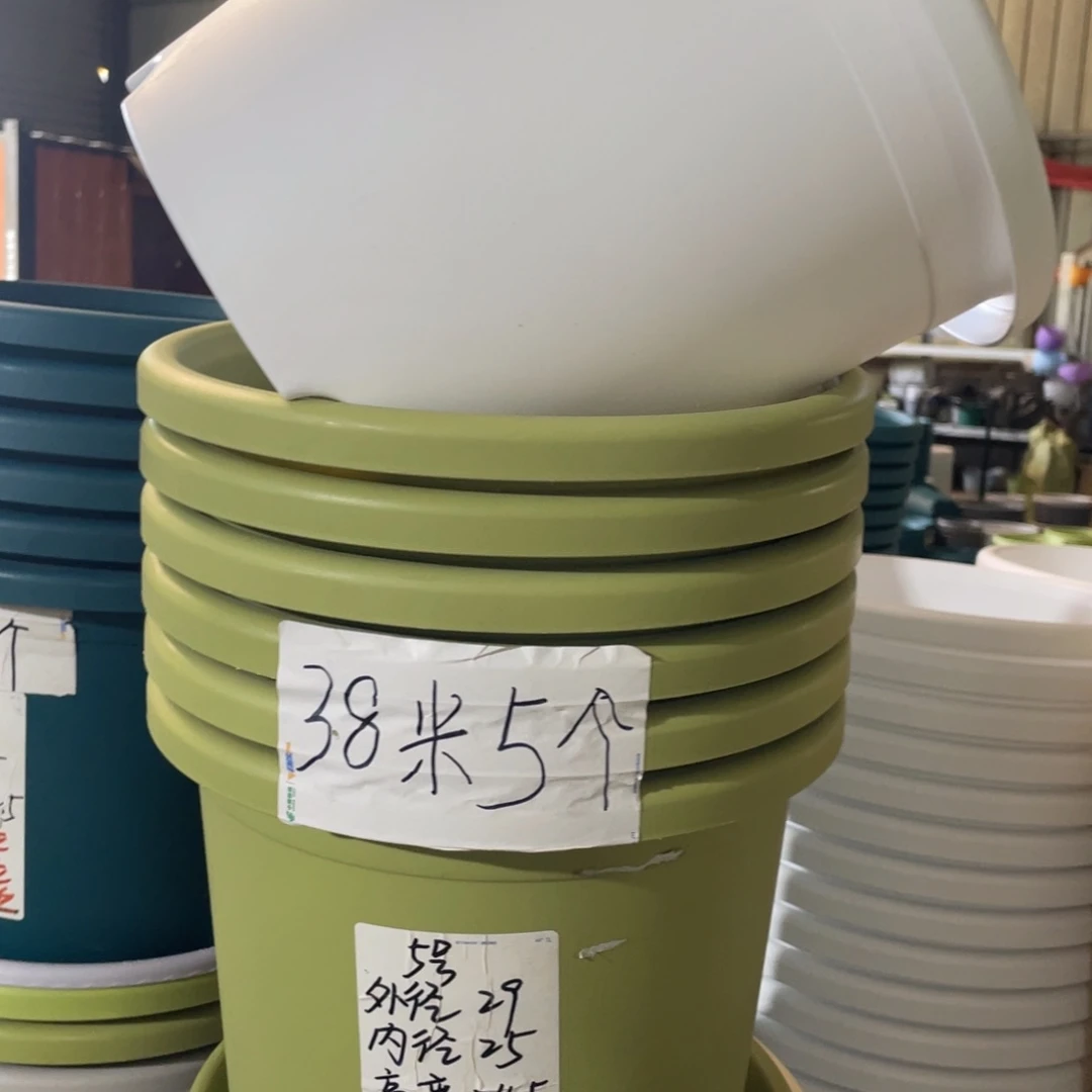 微瑕5#果绿色6个带拖