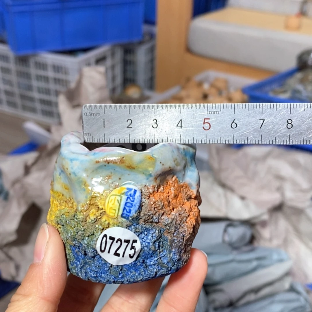 花盆拍3送一个小礼物