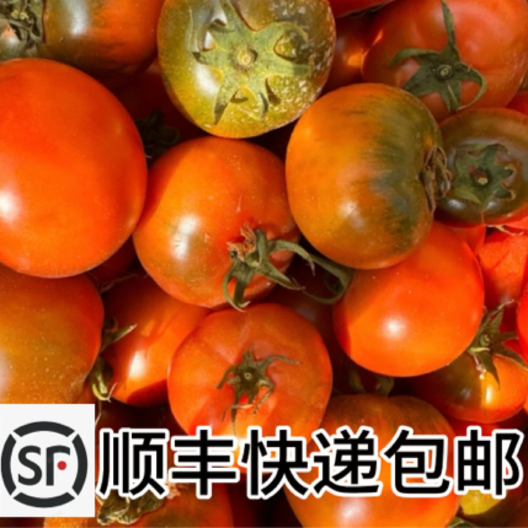 【顺丰包邮】草莓水果西红柿生吃爆甜多汁口感浓郁3斤5斤