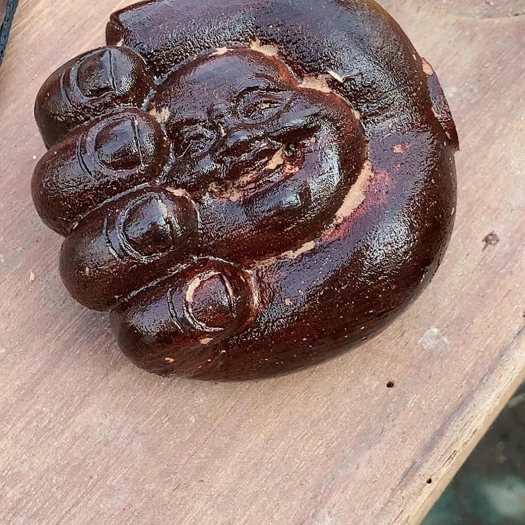 微凹黄檀（南美大红酸枝）用****5708