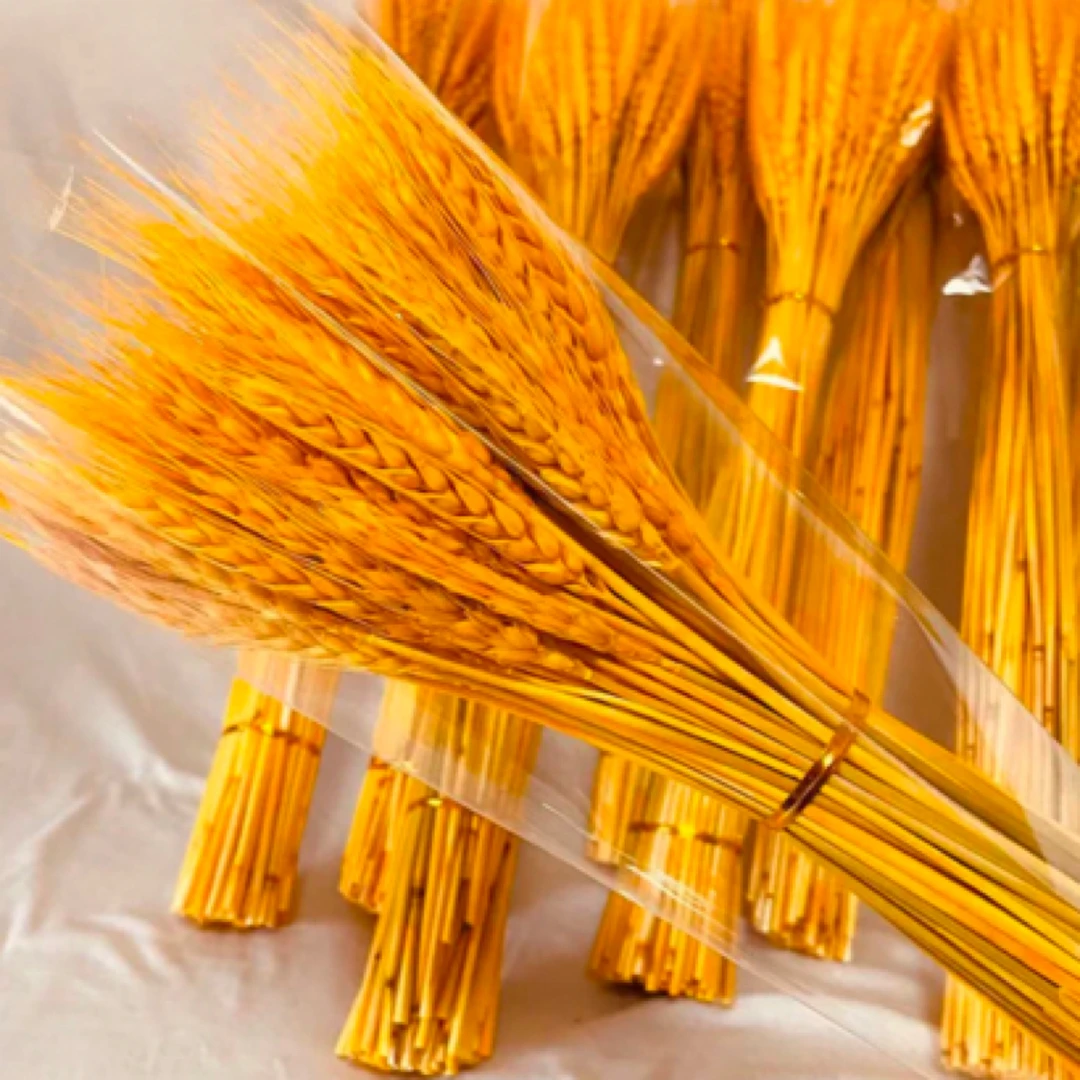 天然黄金麦穗干花花束开业大麦客厅田园装饰摆件干花插花拍摄道具