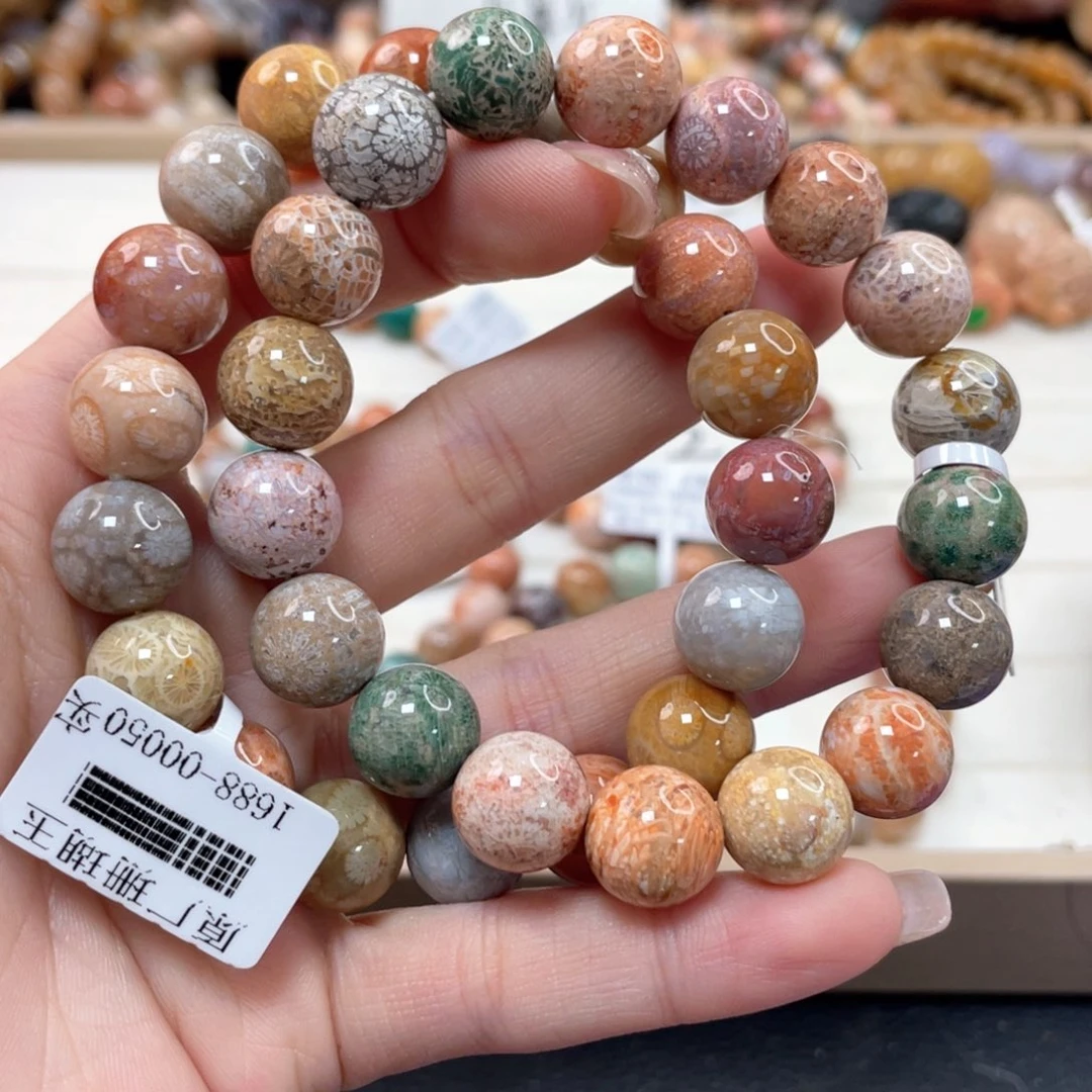 未镶嵌手链硅化珊瑚（珊瑚玉）学182