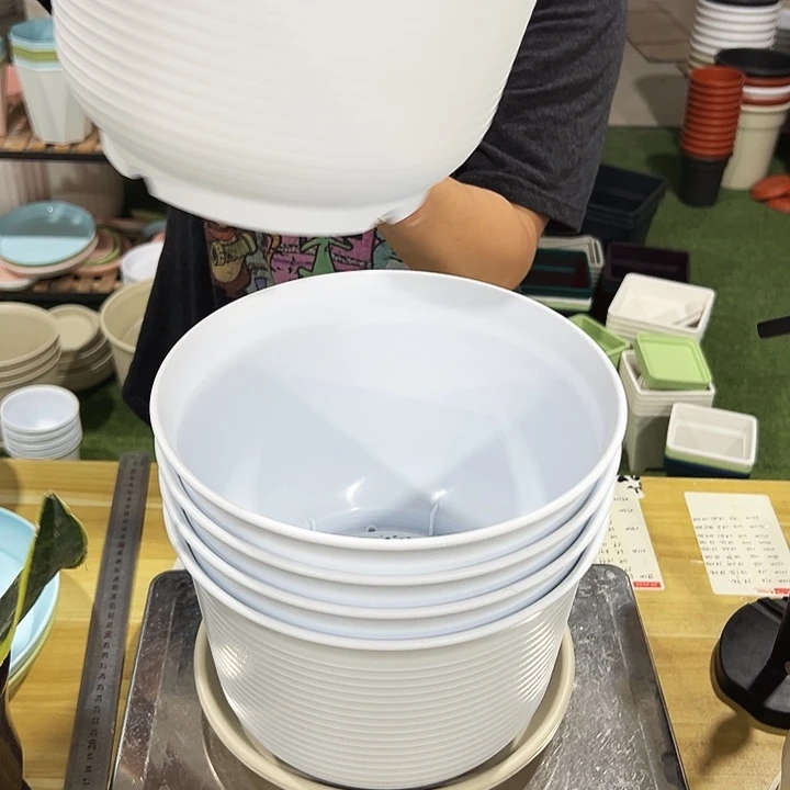 特价矮陶口24高17白色带托5只