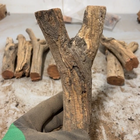 大果紫檀（缅甸花梨）捌*