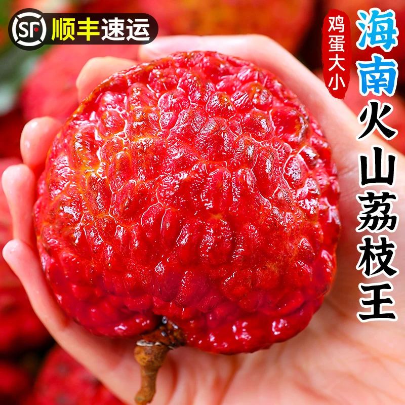 【顺丰冷链】海南荔枝王1-5斤香甜多汁新鲜水果海口当季火山口荔枝