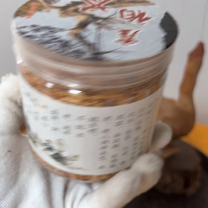 柏木（崖柏）太行崖崖柏柏