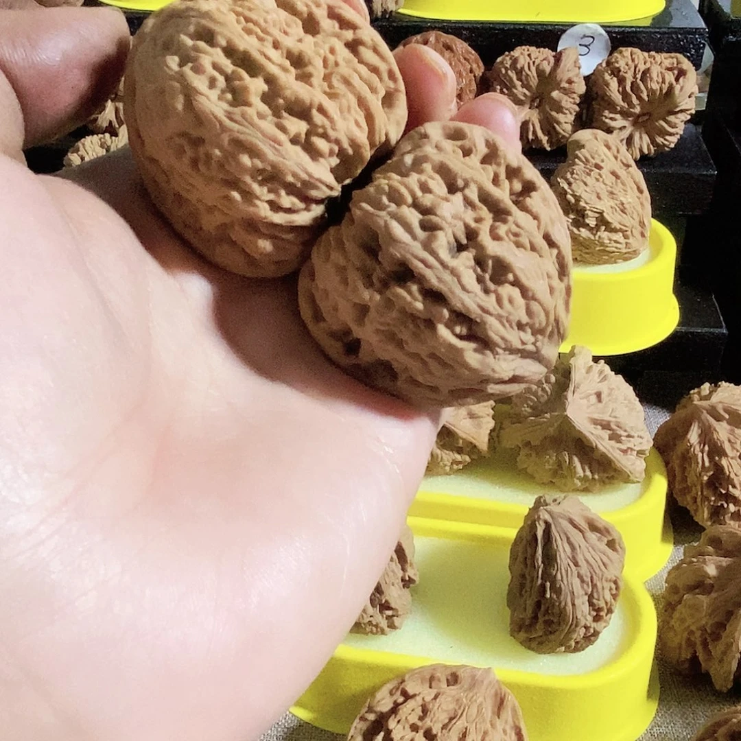 银S925今天的天气真的好