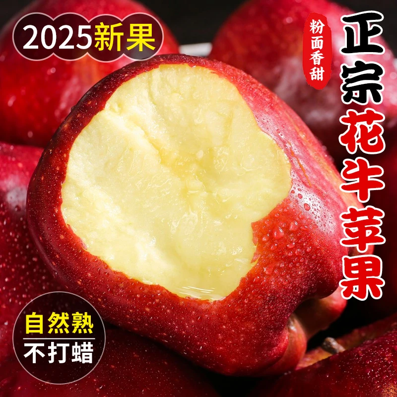 甘肃天水花牛苹果新鲜当季现摘粉面香甜果肉细腻产地直发