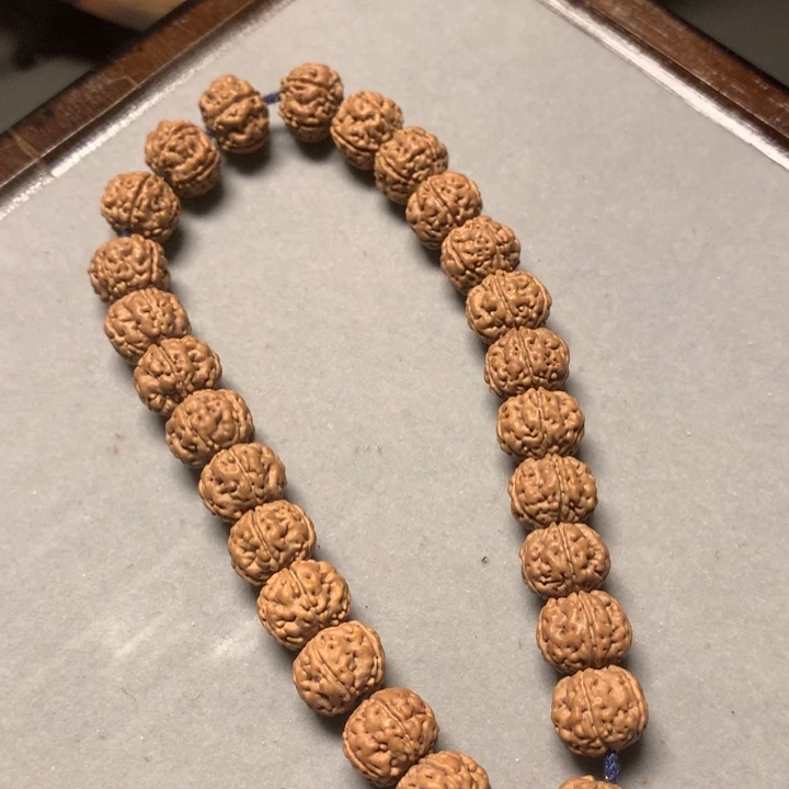 手串金刚菩提老树王老树王