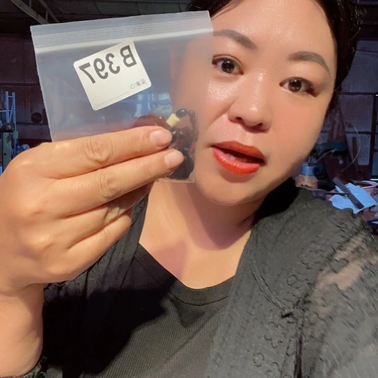 大果紫檀（缅甸花梨）397