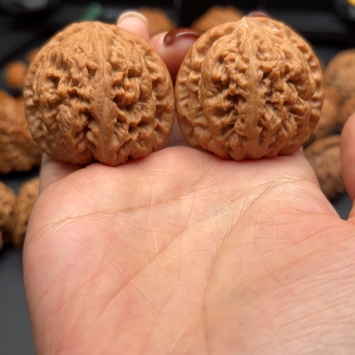 核桃42尺大粗筋全品同树