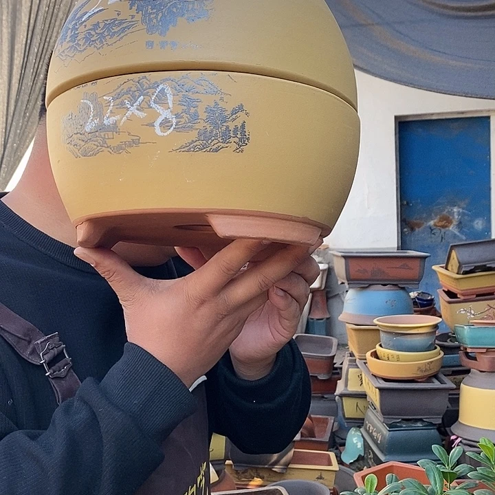 花盆紫砂宜兴紫砂