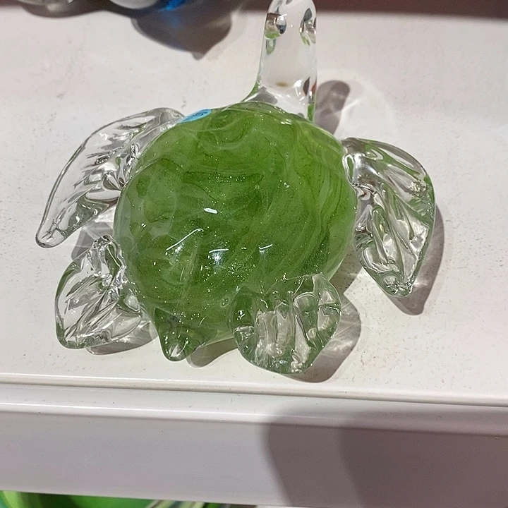 琉璃夜光龟9949494