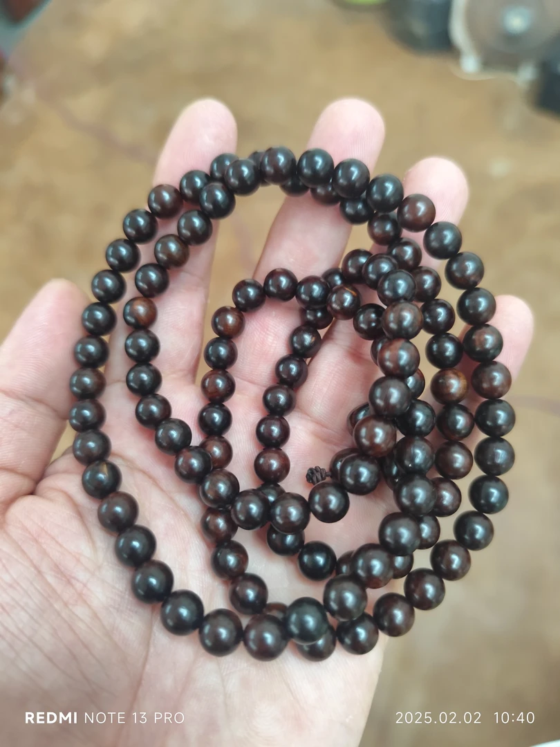 LS海黄08长串等多样性发一