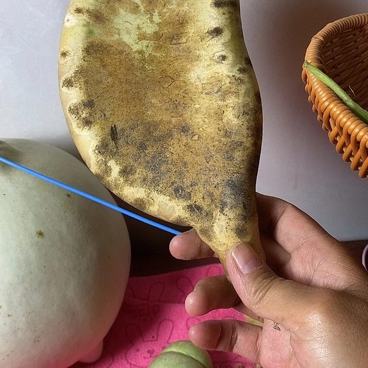 葫***生青皮腰子葫芦手把件