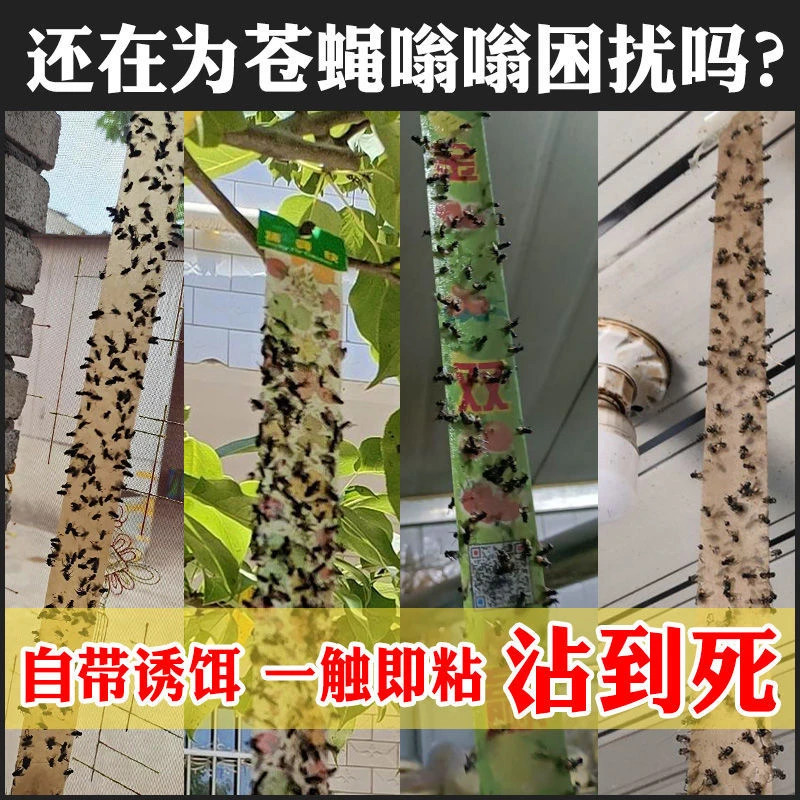 苍蝇贴粘蝇纸彩带粘蚊克星捕灭蝇神器粘蝇板条诱杀强力家用一扫光
