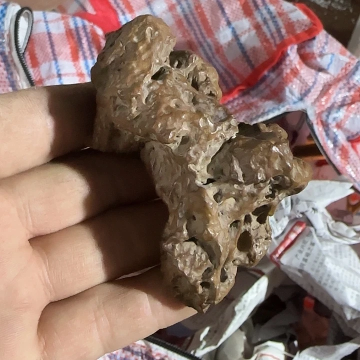 福***哥扇子干活干活哈哈哈哈哈哈哈哈