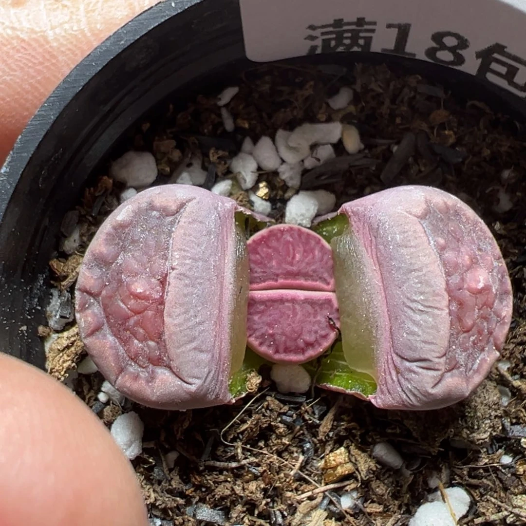 【闪购商品】1048……