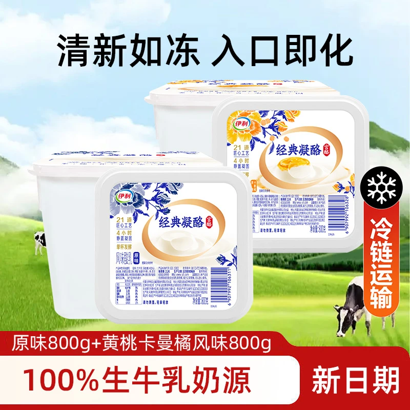 伊利经典凝酪800g家庭盒装 低温风味发酵乳 卡曼橘酸奶1+原味1
