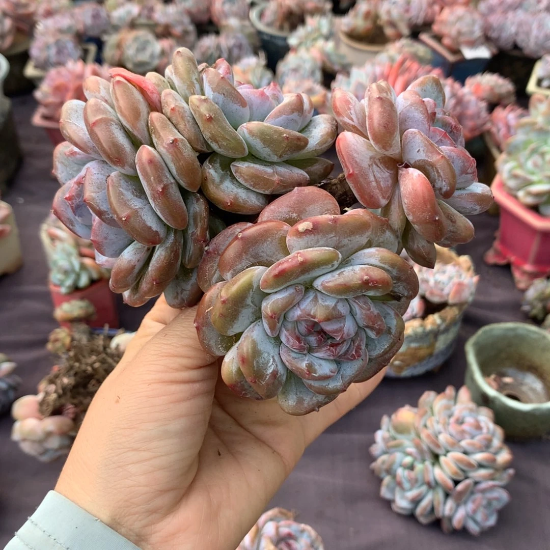 哈哈哈哈哈哈哈哈哈哈哈