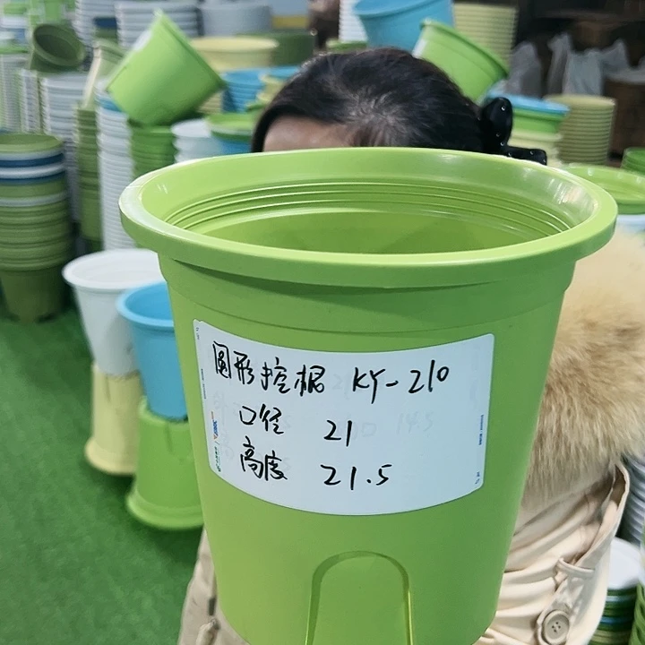 正品圆控口21高21果绿无托8只