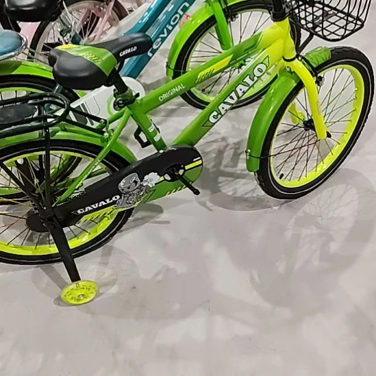 20尺寸自行车绿色