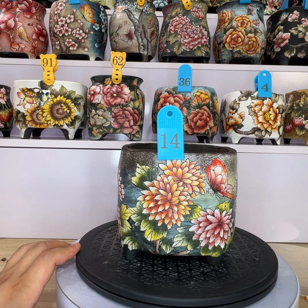 福利微瑕蝴蝶菊花