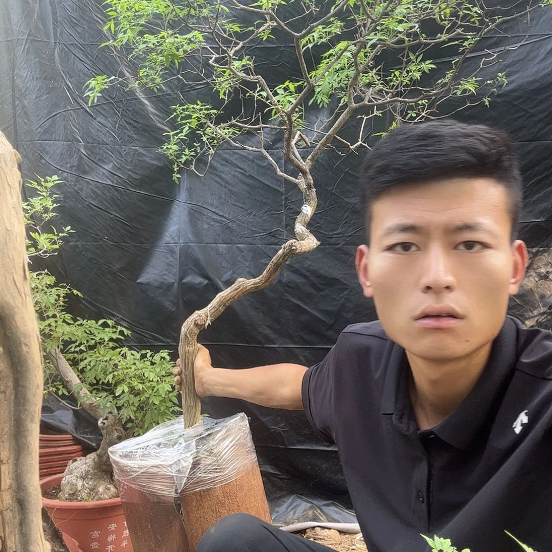 无花朵黄荆旅途兔兔图兔兔来咯莫科技姥姥语录他姥姥旅途天咯