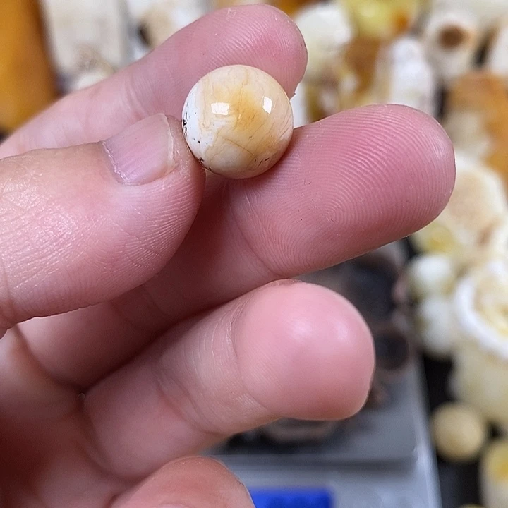 未镶嵌琥珀裸石我